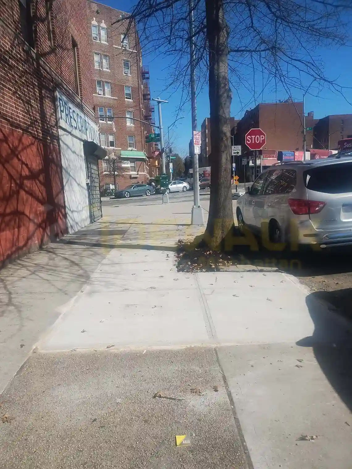 Sidewalk in Manhattan damaged by tree roots, with visible cracks and uplifted pavement requiring repair.