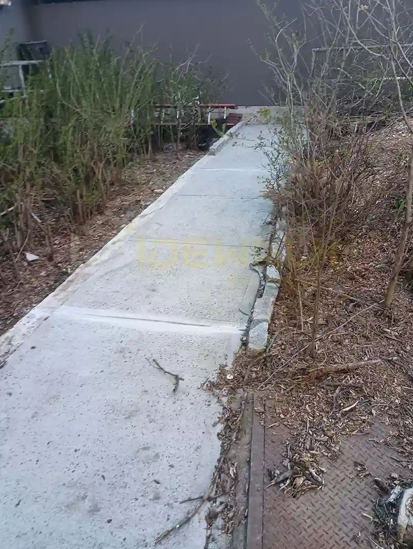 A cracked concrete sidewalk next to a curbside drain grate with some grass growing in the cracks.
